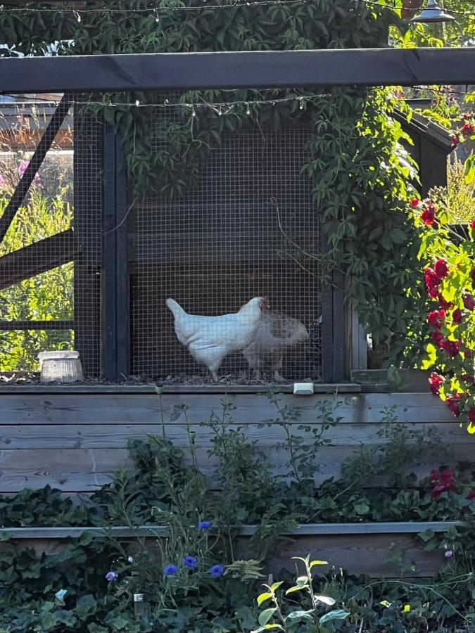 Fantastisk Vaetterutsikt Mellan Habo Och Bankeryd. Villa Dış mekan fotoğraf